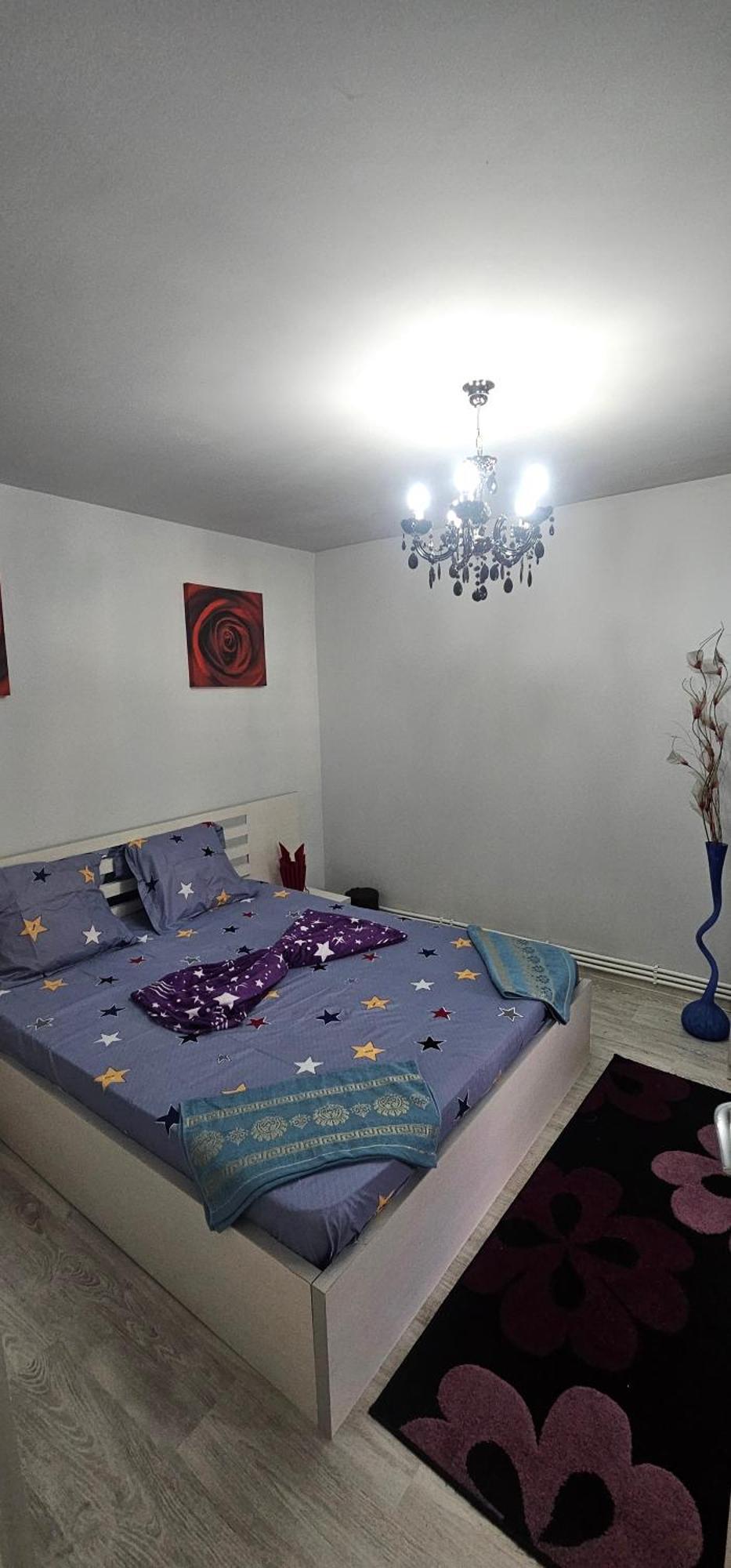 Garsoniera Regim Dni Apartamento Petroşani Exterior foto