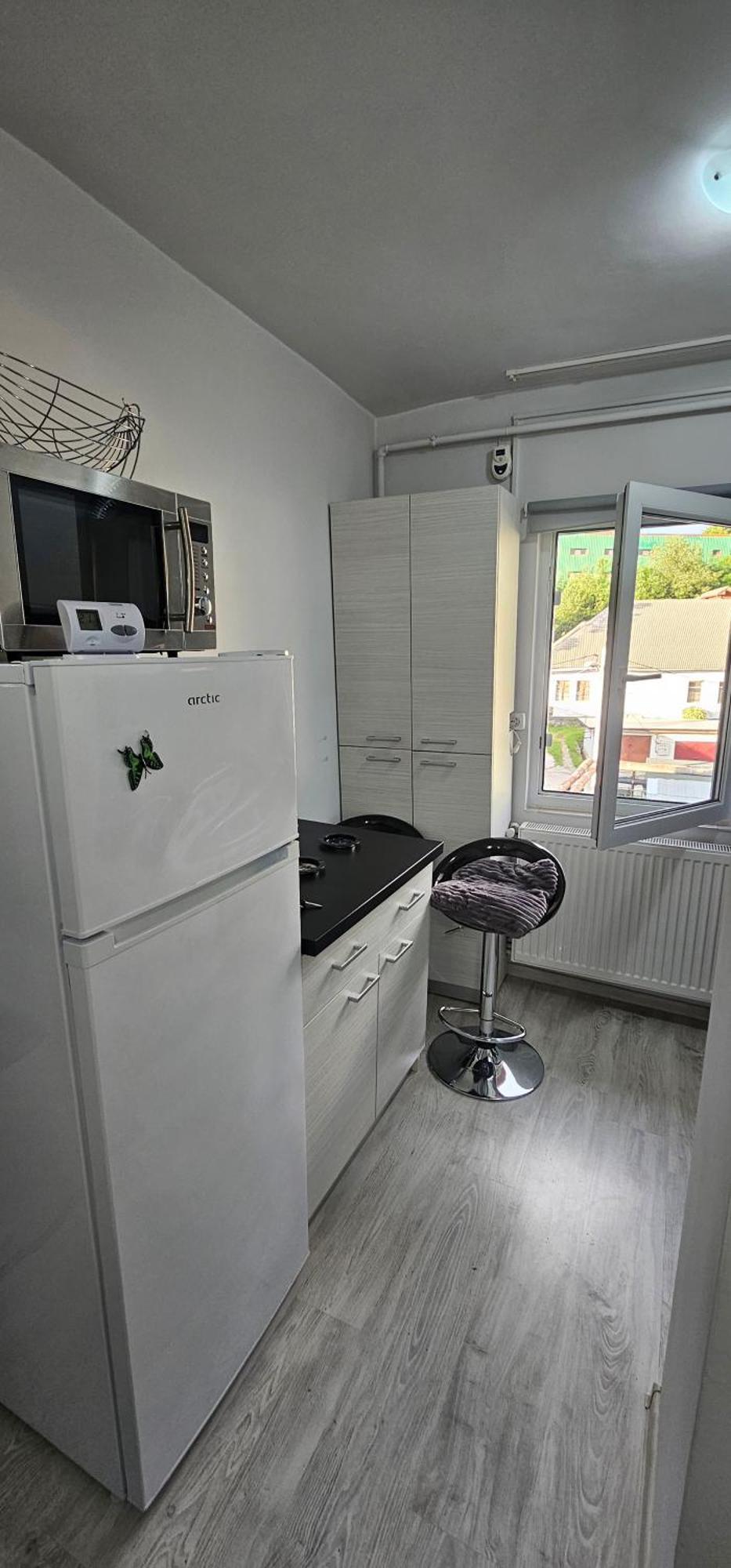 Garsoniera Regim Dni Apartamento Petroşani Exterior foto